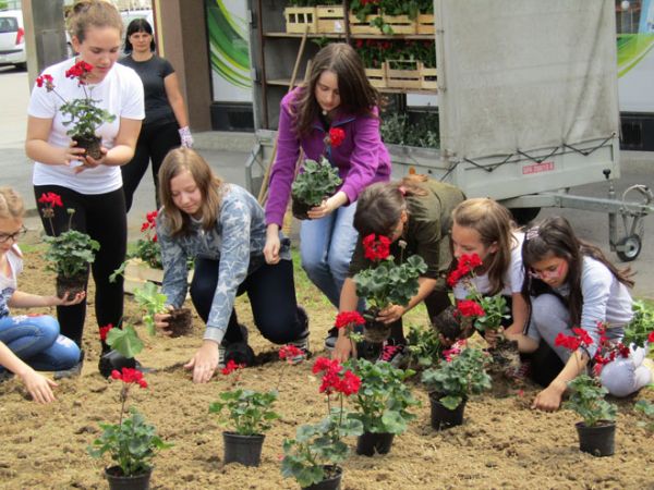 Osnovnoškolci posadili cvijeće na gradskoj gredici